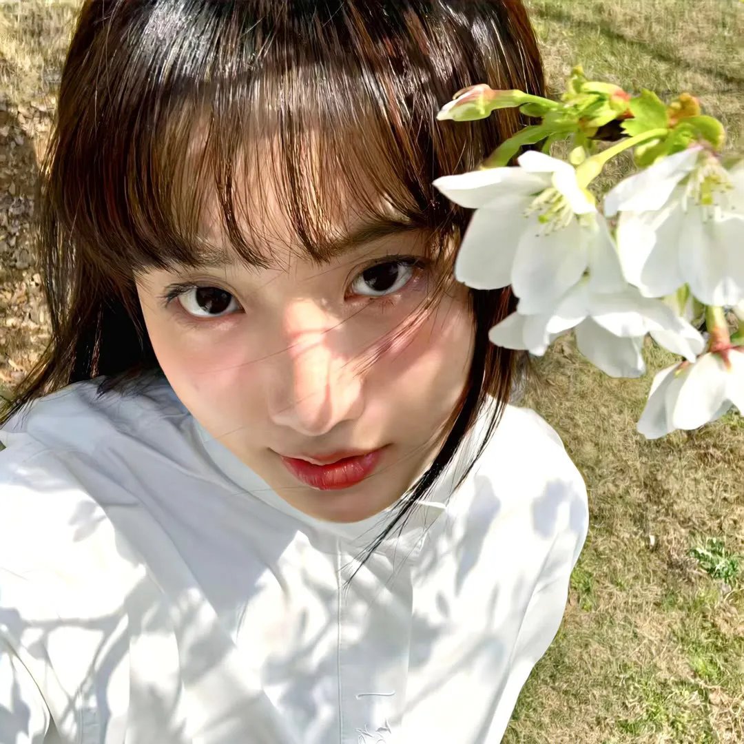 犬夜叉