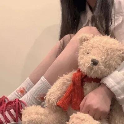 马达加斯加的企鹅