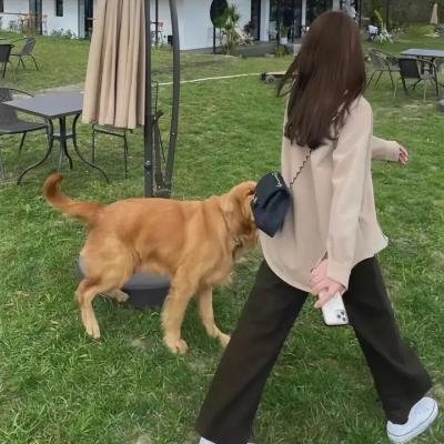 东北猛兽